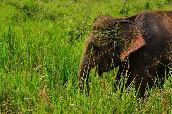 Fernando Adventure Safaries